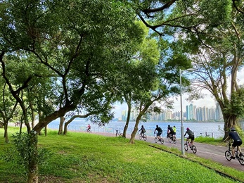 何家俊 (亚军) - 城市林木为我们创造更美好的生活空间，市民融入林木中，进行健康生活模式。相片中为近马料水的海滨单车径，不少健儿踩单车穿过林木， 呼吸周边新鲜空气，配合对岸的住宅大厦，构成漂亮的画面。